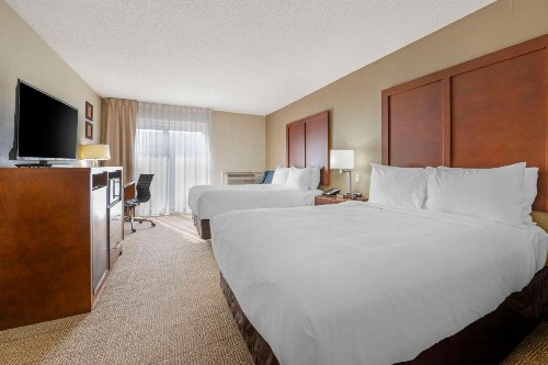 Comfort Inn & Suites North at the Pyramids - image 10