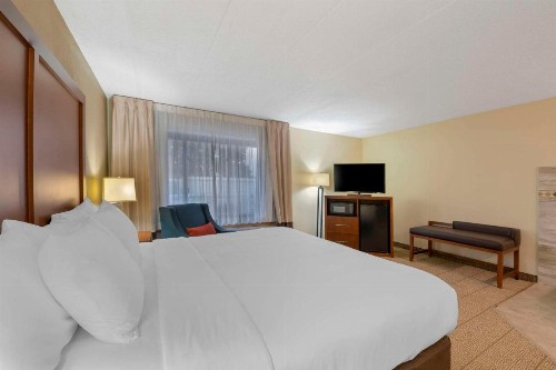 Comfort Inn & Suites North at the Pyramids - image 16