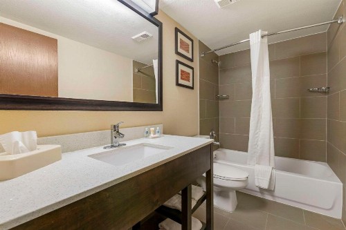 Comfort Inn & Suites North at the Pyramids - image 17