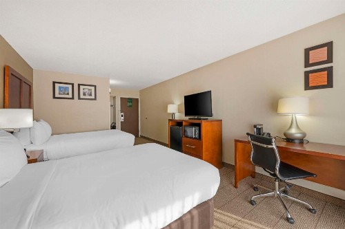 Comfort Inn & Suites North at the Pyramids - image 24