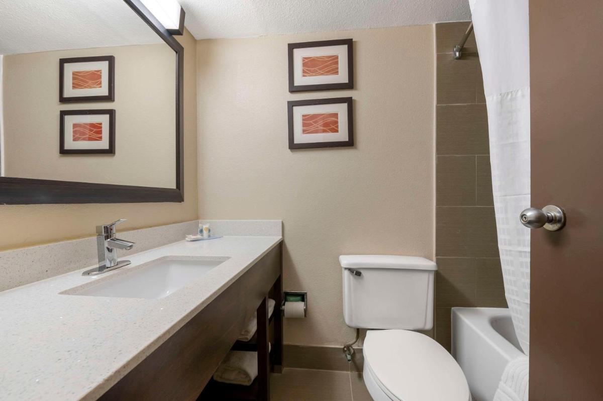 Comfort Inn & Suites North at the Pyramids - image 4