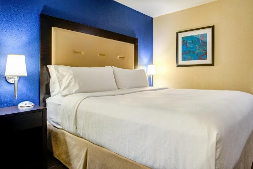 Holiday Inn Indianapolis North-Carmel an IHG Hotel - image 21