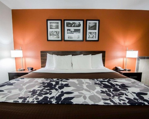 Sleep Inn & Suites And Conference Center Downtown - image 15