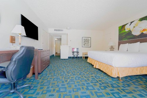 Royal Plaza Inn - image 42