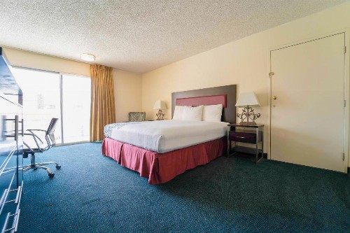 Royal Plaza Inn - image 47
