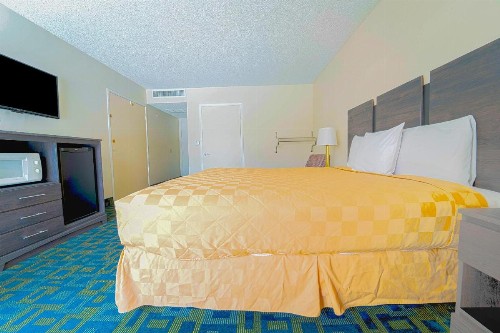 Royal Plaza Inn - image 49