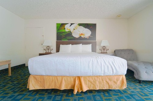 Royal Plaza Inn - image 5