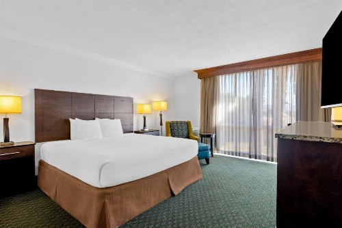 Best Western Date Tree Hotel - image 25