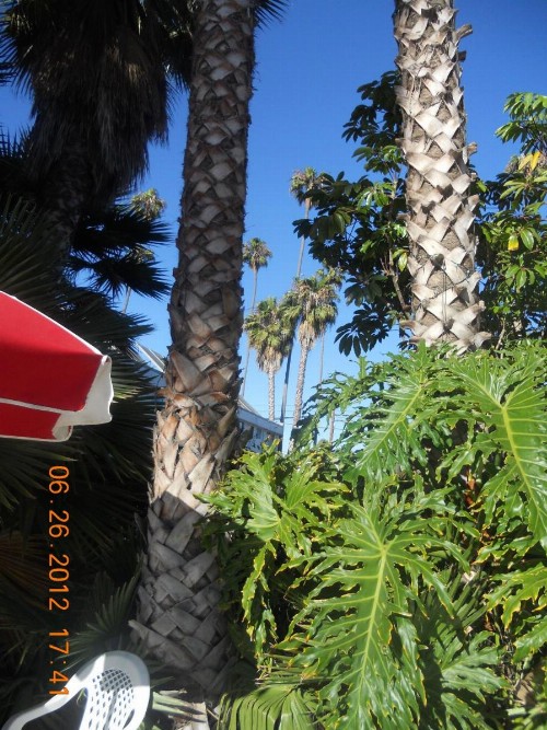 Tradewinds Airport Hotel - image 23