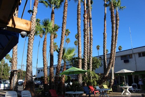 Tradewinds Airport Hotel - image 33
