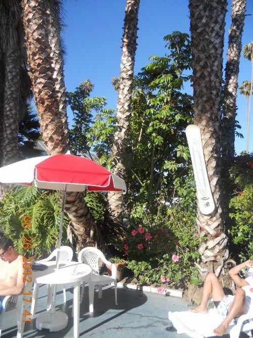 Tradewinds Airport Hotel - image 4