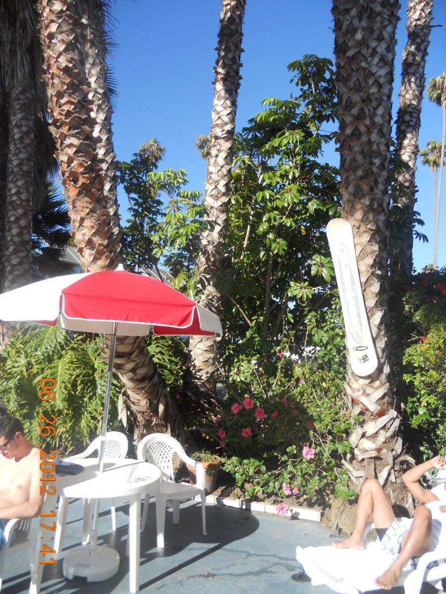 Tradewinds Airport Hotel - image 4