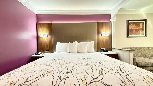 Best Western Plus Suites Hotel - Los Angeles LAX Airport - image 13