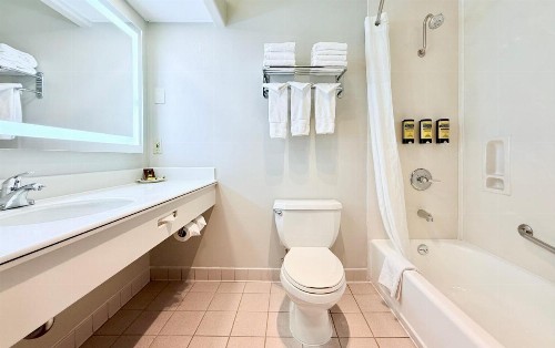 Best Western Plus Suites Hotel - Los Angeles LAX Airport - image 18
