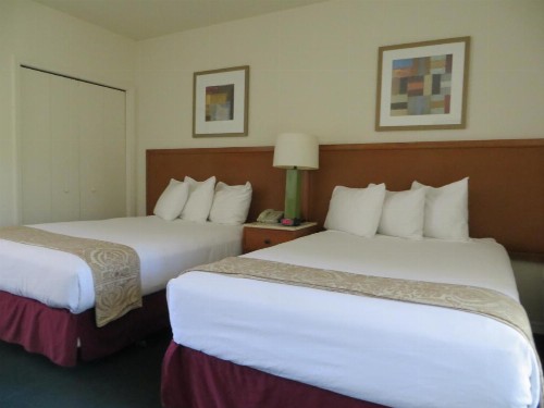 Central Motel - Inverness - image 14