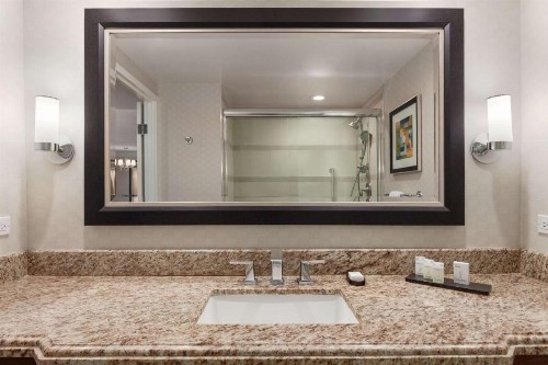 Embassy Suites Irvine - Orange County Airport - image 44
