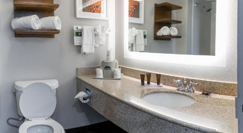 Wingate by Wyndham - DFW North - image 33