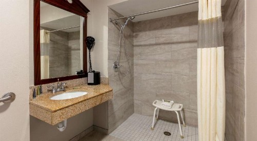 Wingate by Wyndham - DFW North - image 40