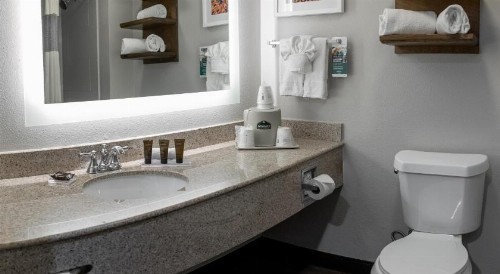 Wingate by Wyndham - DFW North - image 43