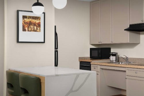 Homewood Suites by Hilton Irving-DFW Airport - image 37