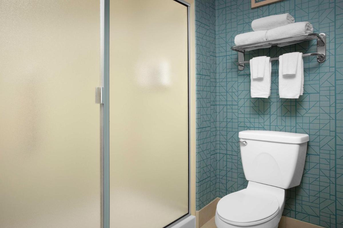 Homewood Suites by Hilton Irving-DFW Airport - image 7