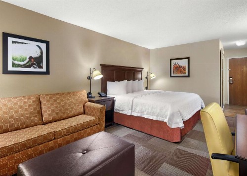 Hampton Inn Dallas-Irving-Las Colinas - image 16