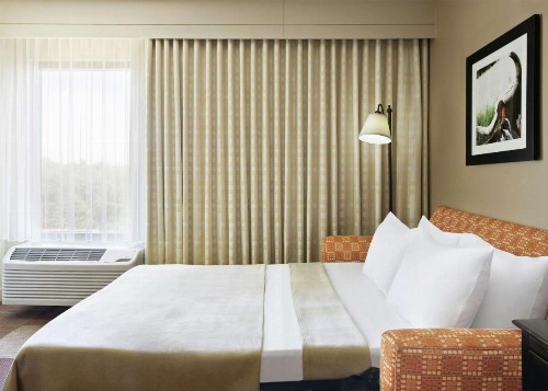 Hampton Inn Dallas-Irving-Las Colinas - image 22