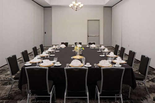Hilton Garden Inn DFW Airport South - image 15