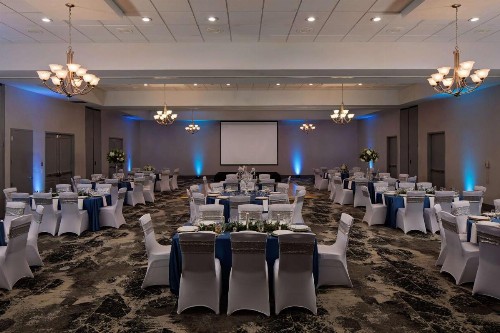 Hilton Garden Inn DFW Airport South - image 16
