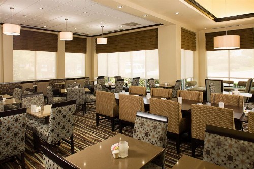 Hilton Garden Inn DFW Airport South - image 18