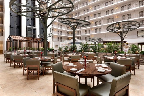 Embassy Suites Dallas - DFW International Airport South - image 12