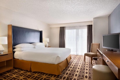 Embassy Suites Dallas - DFW International Airport South - image 19