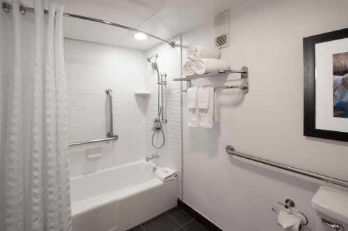 Embassy Suites Dallas - DFW International Airport South - image 24