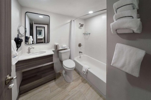 DFW Airport Hotel & Conference Center - image 10