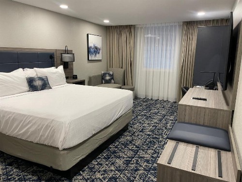 DFW Airport Hotel & Conference Center - image 30