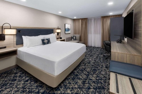 DFW Airport Hotel & Conference Center - image 48