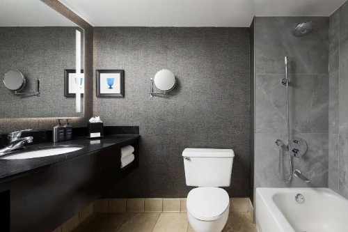 Sheraton DFW Airport Hotel - image 23
