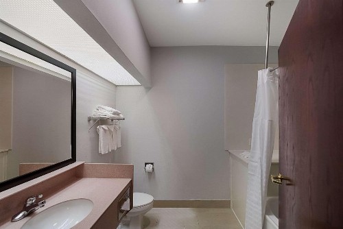 Quality Inn & Suites DFW Airport South - image 3