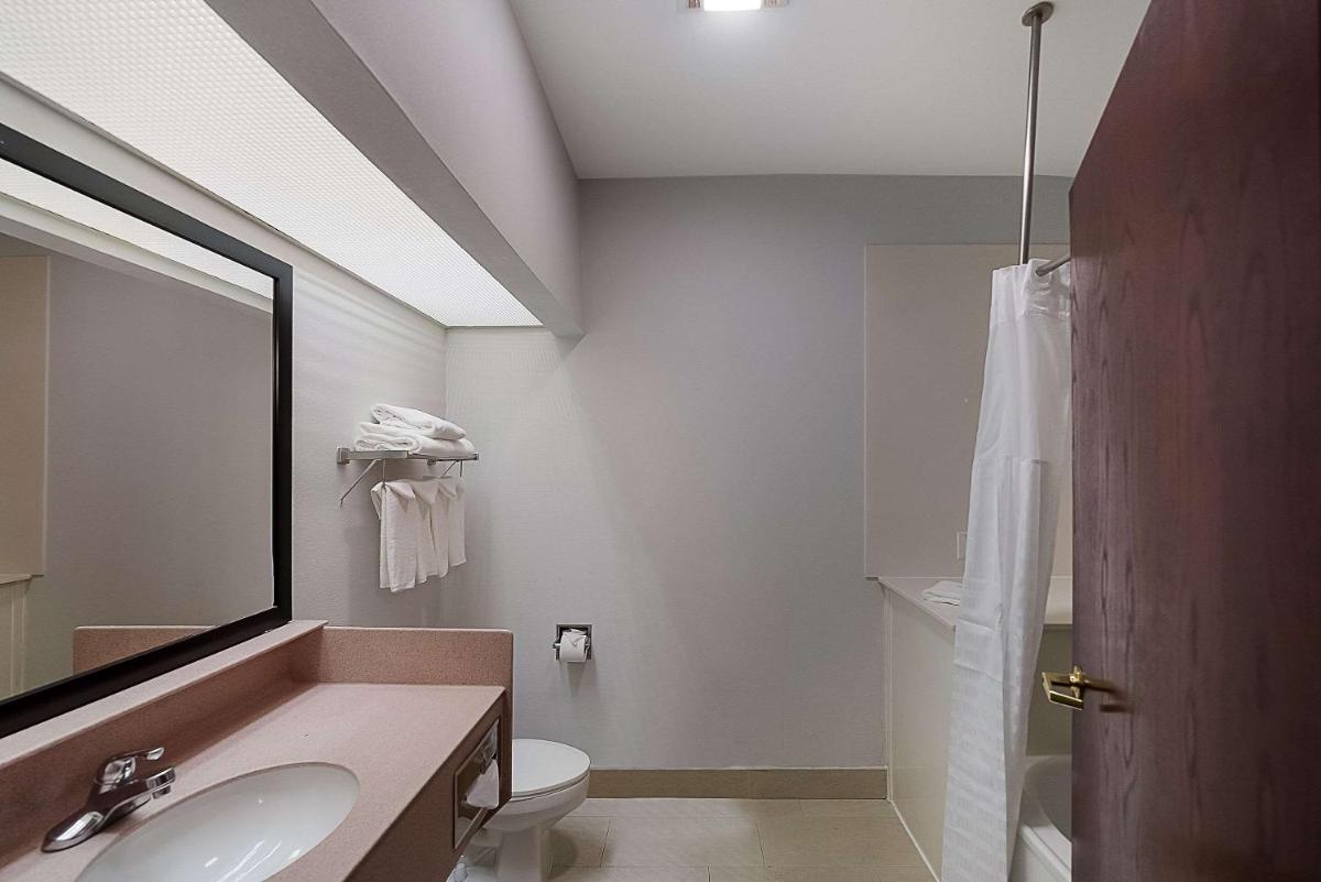 Quality Inn & Suites DFW Airport South - image 3