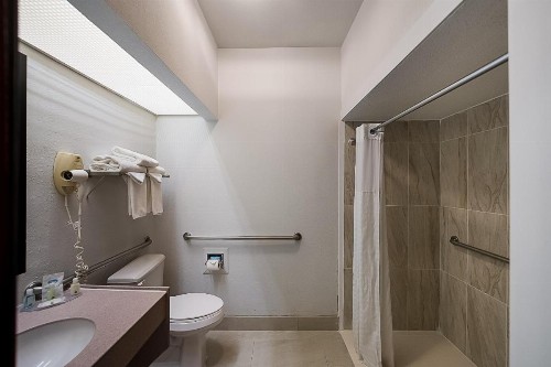 Quality Inn & Suites DFW Airport South - image 37