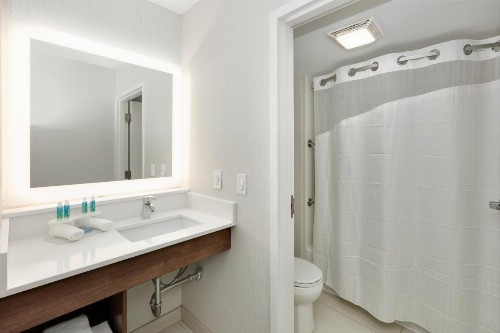 Holiday Inn Express Hotel & Suites - Irving Convention Center - Las Colinas an IHG Hotel - image 20