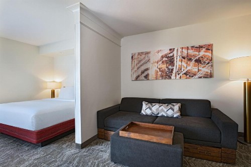 SpringHill Suites by Marriott Dallas DFW Airport East Las Colinas Irving - image 10