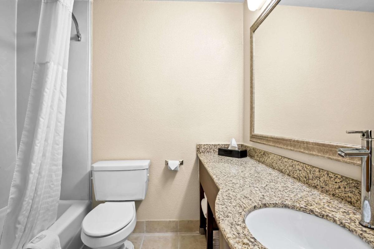 Comfort Suites Las Colinas Center - image 7