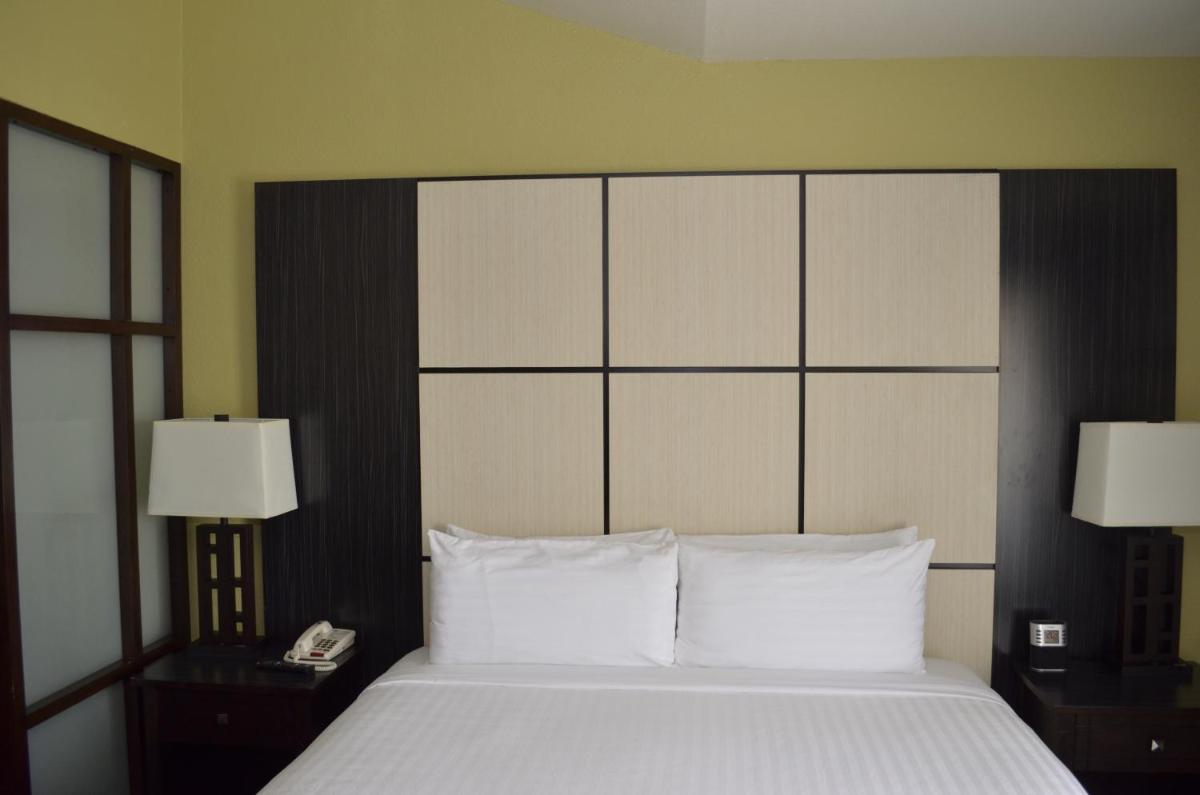 Super 8 by Wyndham Irving/DFW Apt/North - image 5