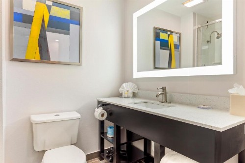 Wingate by Wyndham Dallas/Las Colinas - image 27