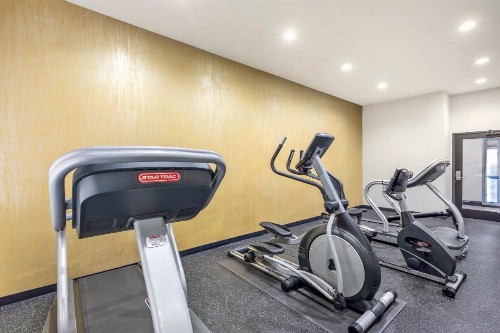 Wingate by Wyndham Dallas/Las Colinas - image 29