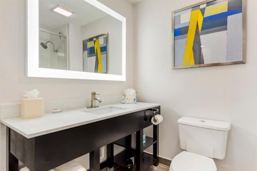 Wingate by Wyndham Dallas/Las Colinas - image 30