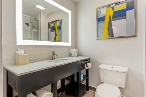 Wingate by Wyndham Dallas/Las Colinas - image 4