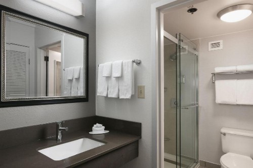 Courtyard Dallas Las Colinas - image 10