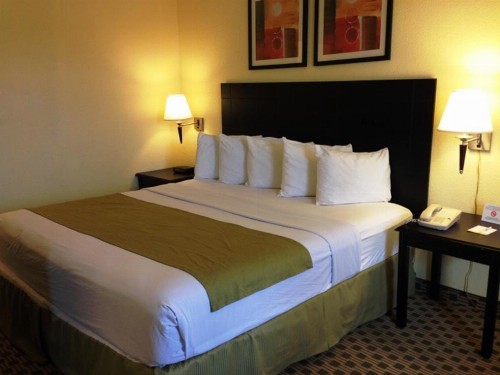 Days Inn by Wyndham Irving Grapevine DFW Airport North - image 3